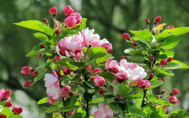 400公斤空气压缩机 400公斤空气压缩机