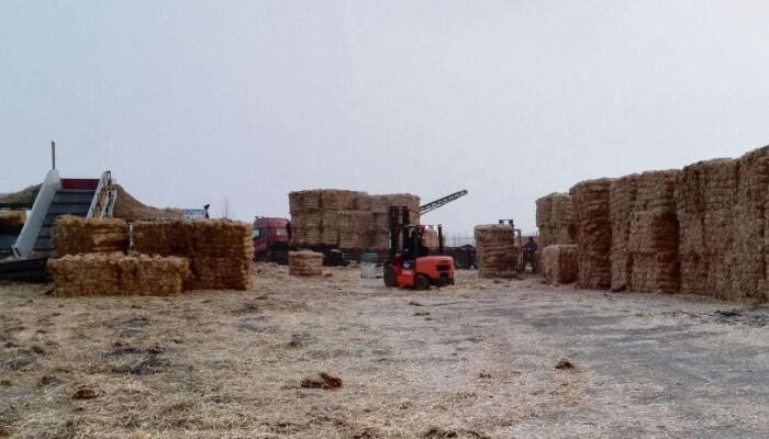 QQ截图20191026093606